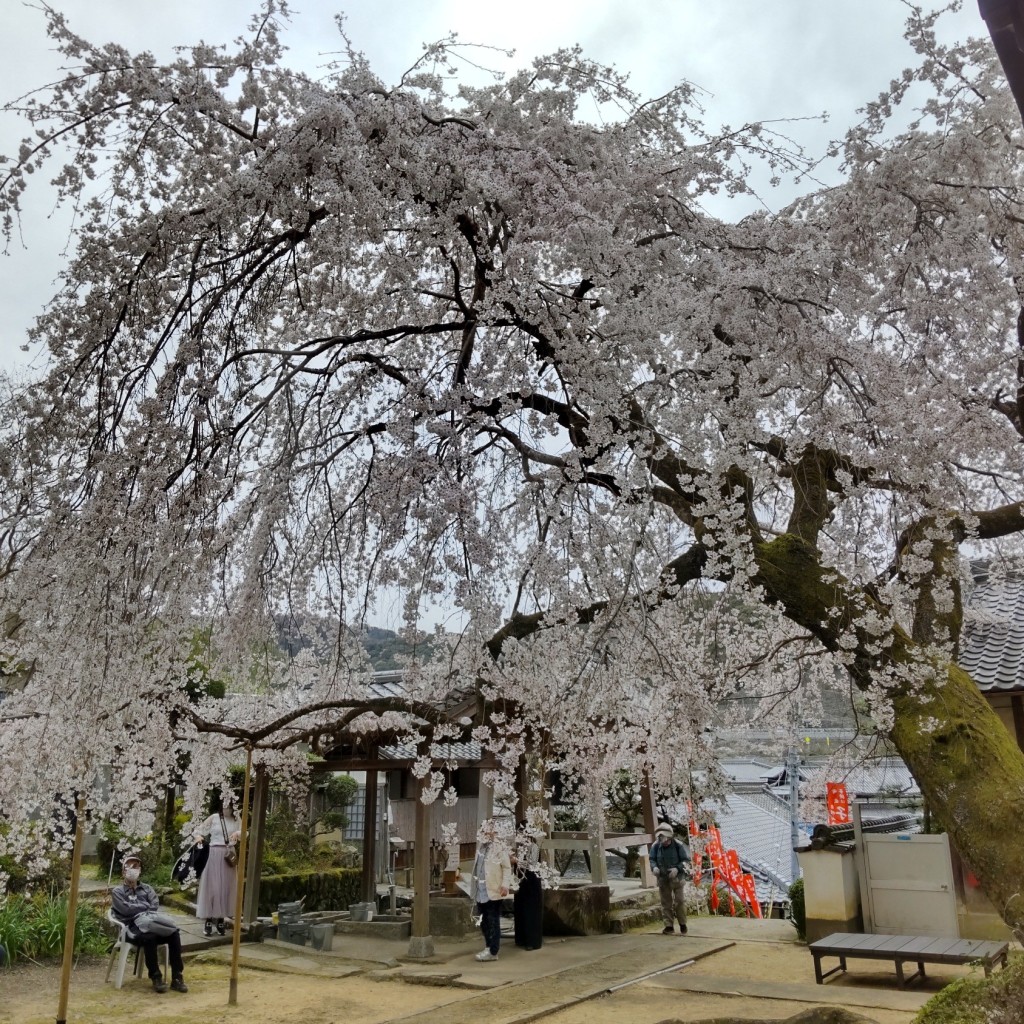 実際訪問したユーザーが直接撮影して投稿した山中渓寺地福寺の写真