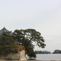 実際訪問したユーザーが直接撮影して投稿した松島公園松島海岸中央広場の写真