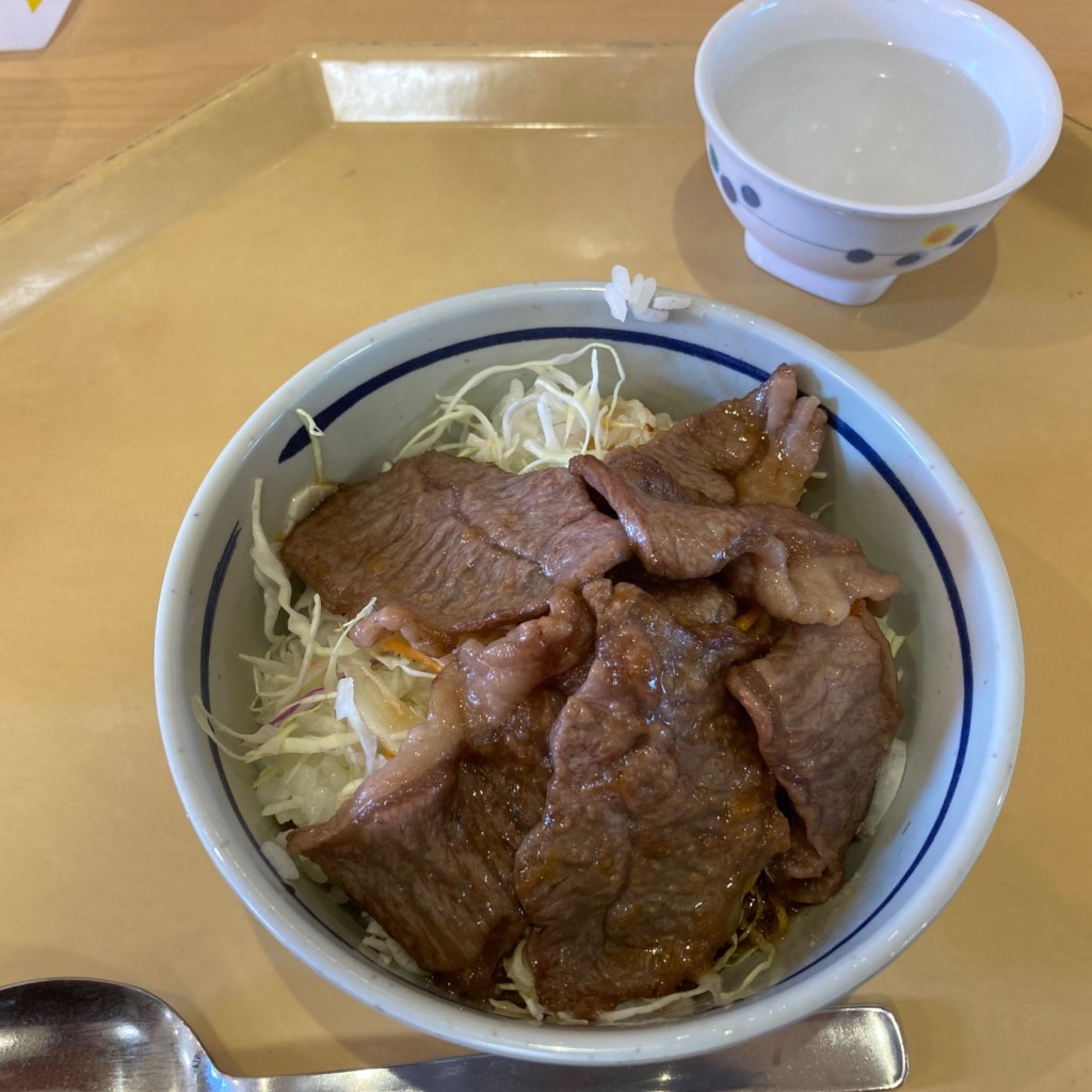 ユーザーが投稿した牛焼肉丼の写真 - 実際訪問したユーザーが直接撮影して投稿した東浜定食屋みーと・で・みーとの写真