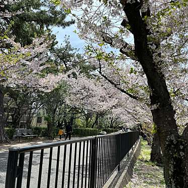 夙川河川敷緑地のundefinedに実際訪問訪問したユーザーunknownさんが新しく投稿した新着口コミの写真