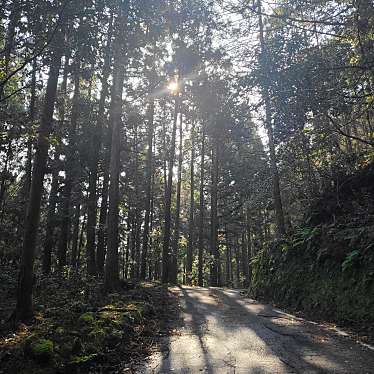 実際訪問したユーザーが直接撮影して投稿した山 / 峠如法山の写真