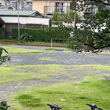 実際訪問したユーザーが直接撮影して投稿した船越町公園梅田公園の写真