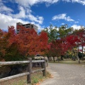 実際訪問したユーザーが直接撮影して投稿した外五曲町公園鈴の森公園の写真