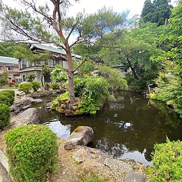 実際訪問したユーザーが直接撮影して投稿した高畑町温泉長岡温泉の写真