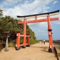 実際訪問したユーザーが直接撮影して投稿した青島神社青島神社の写真