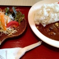 カレー - 実際訪問したユーザーが直接撮影して投稿した竹田和食 / 日本料理天王 十四山店の写真のメニュー情報