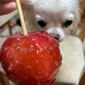 実際訪問したユーザーが直接撮影して投稿した大名スイーツ代官山Candy apple  天神店の写真