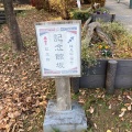 実際訪問したユーザーが直接撮影して投稿した大倉山通り記念館坂の写真