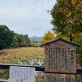 実際訪問したユーザーが直接撮影して投稿した嵯峨小倉山田淵山町神社御髪神社の写真