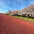 実際訪問したユーザーが直接撮影して投稿した中島公園宮川堤公園の写真