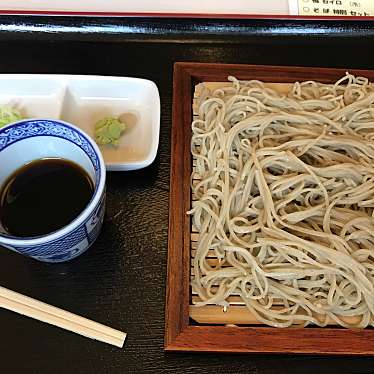 実際訪問したユーザーが直接撮影して投稿した昭和そば蕎麦の館がびのの写真