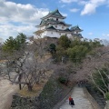 実際訪問したユーザーが直接撮影して投稿した一番丁公園和歌山城公園の写真