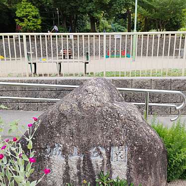 実際訪問したユーザーが直接撮影して投稿した城山町公園城山公園の写真