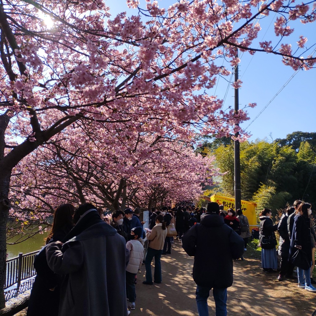 実際訪問したユーザーが直接撮影して投稿した初声町下宮田公園馬場公園の写真