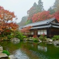 実際訪問したユーザーが直接撮影して投稿した百済寺町寺百済寺の写真