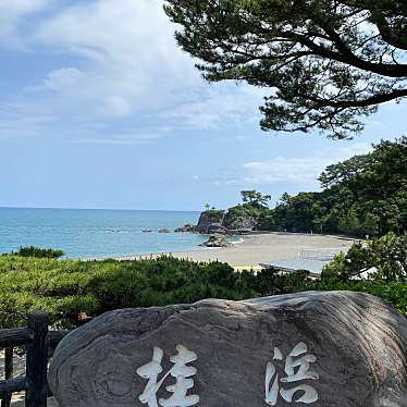 実際訪問したユーザーが直接撮影して投稿した浦戸公園桂浜公園の写真