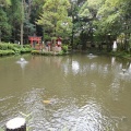 実際訪問したユーザーが直接撮影して投稿した三輪神社大神神社の写真