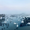 実際訪問したユーザーが直接撮影して投稿した水原湖沼 / 池瓢湖の写真