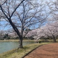 実際訪問したユーザーが直接撮影して投稿した駕与丁公園駕与丁公園の写真