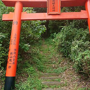 実際訪問したユーザーが直接撮影して投稿した豊福神社月姫大明神の写真