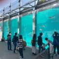 実際訪問したユーザーが直接撮影して投稿した南公園動物園福岡市動植物園の写真