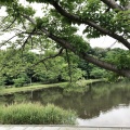 実際訪問したユーザーが直接撮影して投稿したおゆみ野中央公園大百池公園の写真