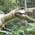 実際訪問したユーザーが直接撮影して投稿した村岡町寺尾レジャー施設かつやま恐竜の森の写真