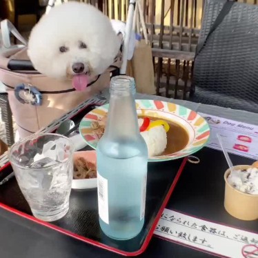 コロン_coronさんが投稿した多賀町カフェのお店ほりかふぇ/ホリカフェの写真