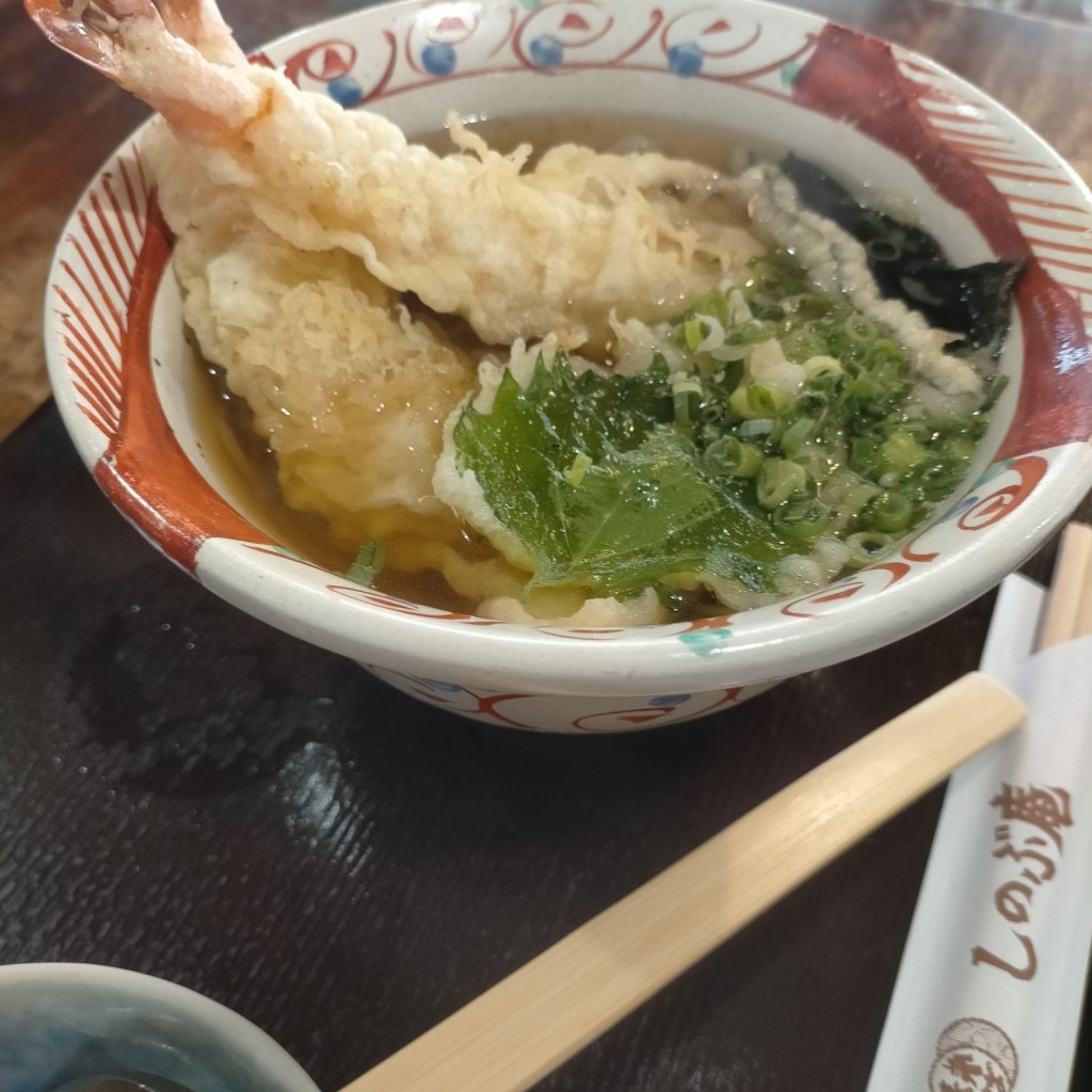 ユーザーが投稿した天ぷらそばの写真 - 実際訪問したユーザーが直接撮影して投稿した半町うどんしのぶ庵の写真
