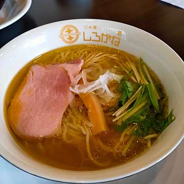 実際訪問したユーザーが直接撮影して投稿した南流山ラーメン専門店らぁ麺しろがね 千葉流山店の写真