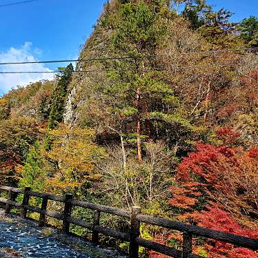 実際訪問したユーザーが直接撮影して投稿した岩古岩屋の写真