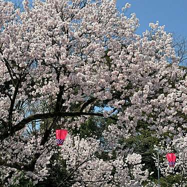 実際訪問したユーザーが直接撮影して投稿した古城公園高岡古城公園の写真