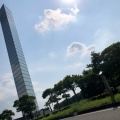 実際訪問したユーザーが直接撮影して投稿した中央港公園千葉ポートパークの写真