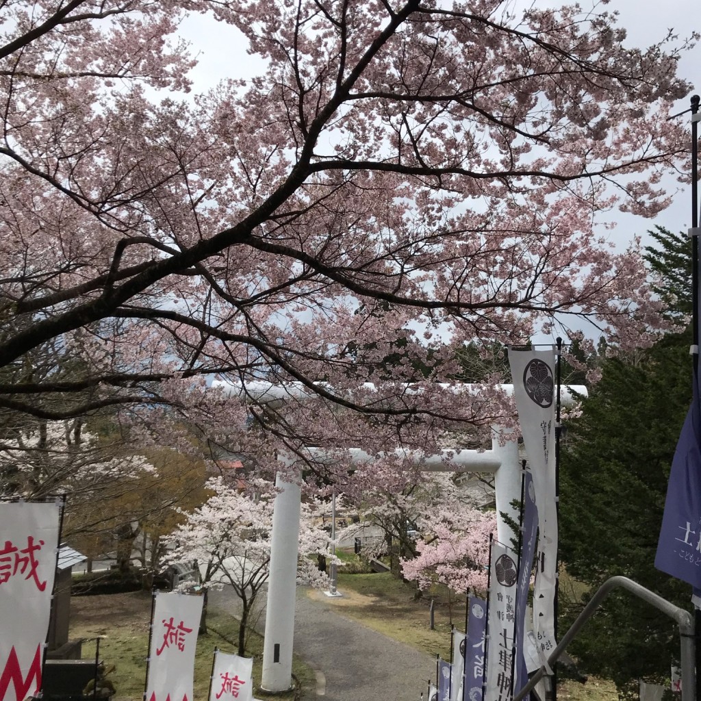 ミルクティーとキャラメル珈琲さんが投稿した見祢山神社のお店土津神社/ハニツジンジャの写真