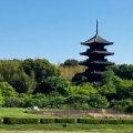 実際訪問したユーザーが直接撮影して投稿した上林文化財備中国分寺五重塔の写真