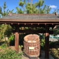 実際訪問したユーザーが直接撮影して投稿した二葉の里神社饒津神社の写真