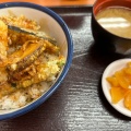 野菜天丼 - 実際訪問したユーザーが直接撮影して投稿した南砂天丼天丼てんや 東陽町店の写真のメニュー情報