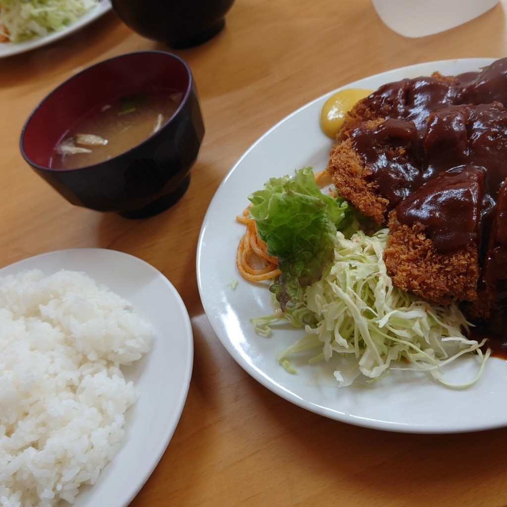 ユーザーが投稿したヒレカツ定食の写真 - 実際訪問したユーザーが直接撮影して投稿した杉ノ馬場とんかつ味一の写真