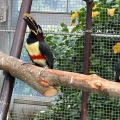 実際訪問したユーザーが直接撮影して投稿した南西郷動物園掛川花鳥園の写真