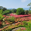 実際訪問したユーザーが直接撮影して投稿した和田公園小室山公園の写真