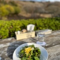 サラダ - 実際訪問したユーザーが直接撮影して投稿した人穴カフェcafe naturelの写真のメニュー情報