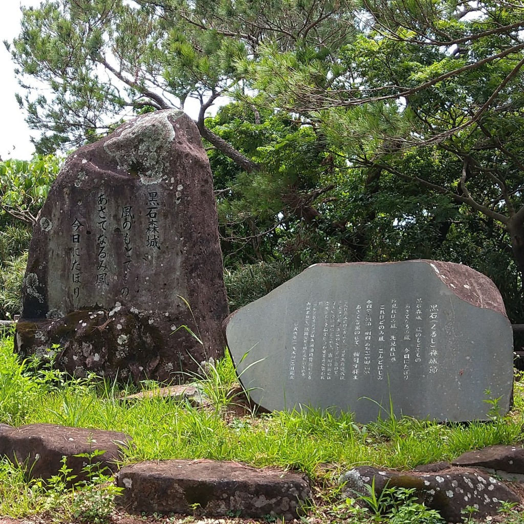 yoshimi_C-HR楽しかったですさんが投稿した阿嘉公園のお店黒石森公園の写真