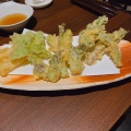 山菜の天ぷら - 実際訪問したユーザーが直接撮影して投稿した保戸野千代田町居酒屋酒菜や 香蔵の写真のメニュー情報