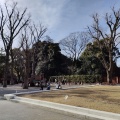 実際訪問したユーザーが直接撮影して投稿した本駒込公園六義公園の写真