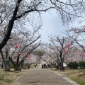 実際訪問したユーザーが直接撮影して投稿した早島公園早島公園の写真