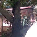 実際訪問したユーザーが直接撮影して投稿した銀座銅像岩野勇三 はぐれっ子の写真