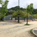 実際訪問したユーザーが直接撮影して投稿した可部東公園寺山公園の写真