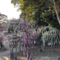 実際訪問したユーザーが直接撮影して投稿した藤方神社結城神社の写真