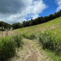 実際訪問したユーザーが直接撮影して投稿した川上高原砥峰高原の写真