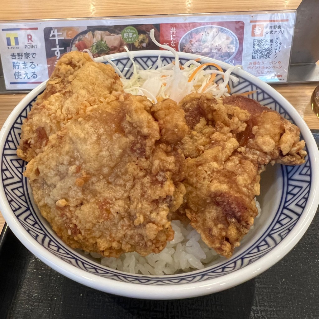 ユーザーが投稿したから揚丼の写真 - 実際訪問したユーザーが直接撮影して投稿した萱野牛丼吉野家 171号線箕面店の写真